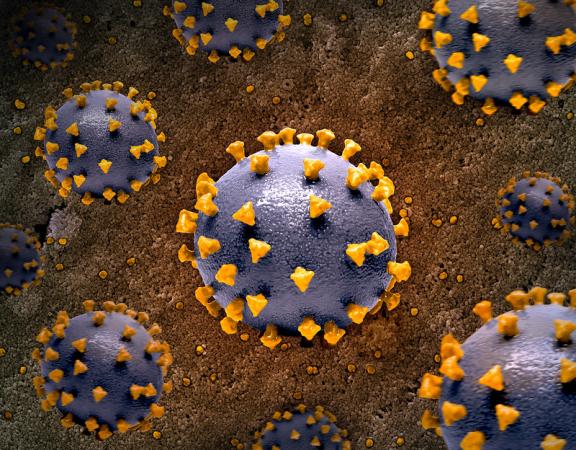 20 J1 variant patients were discovered in Nagpur